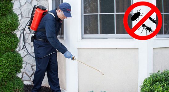 Bayat Gümüşkurt İlaçlama böcek ilaçlama ve haşere kontrolü — ilaclama-tr.com